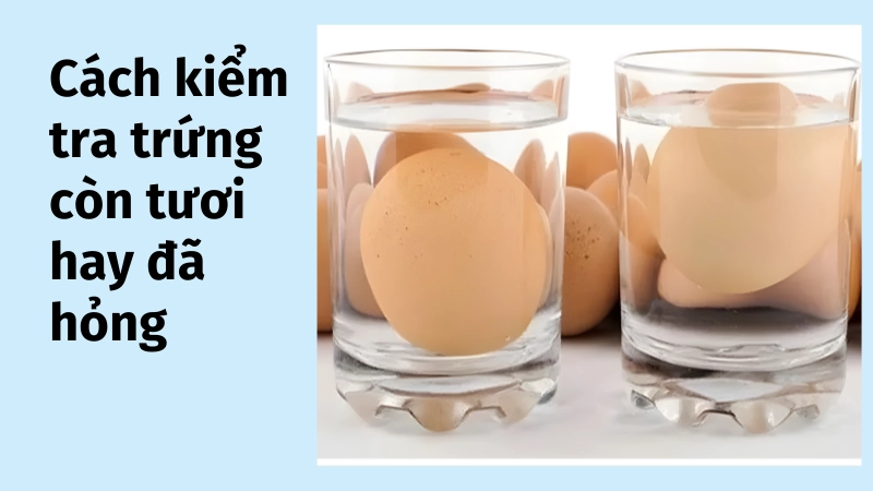 Mẹo kiểm tra trứng hỏng bằng cốc nước đơn giản
