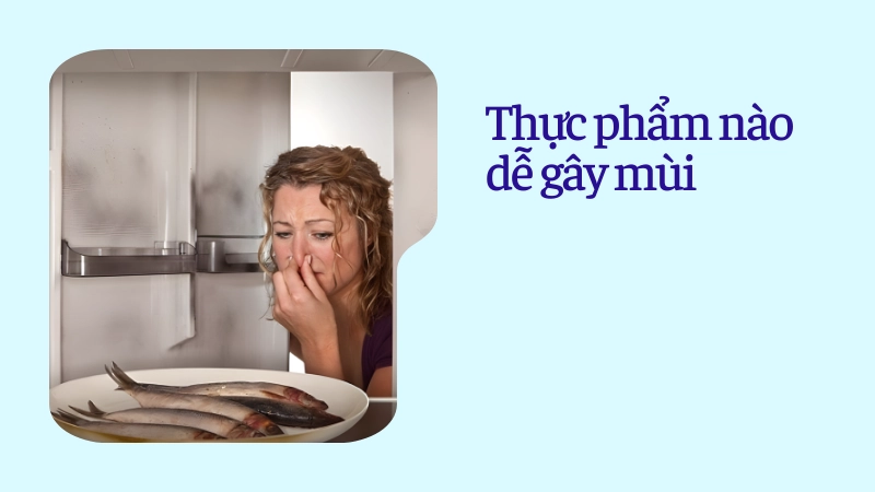 Bảo quản hải sản đúng cách để tránh ám mùi tủ lạnh