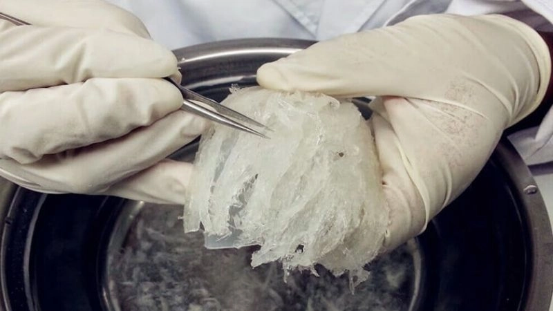 Bí quyết nhặt lông yến siêu tốc không tốn sức